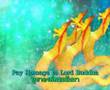 Naga Fireball Music
