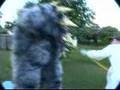 Dirty Jobs Parody - Exotic Pet Sitting (Discovery Spoof) Dirty Jobs Parody - Exotic Pet Sitting (Discovery Spoof)