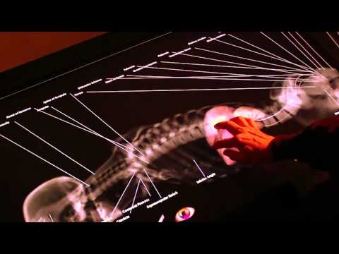 The Anatomage Table