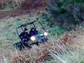 videos de warrior and mule