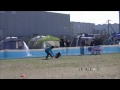Click here to watch this video K9 東扇島2R