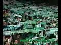Magics Fans