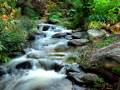 Mario Goren Photography