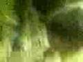 EXCLUSIVE-VIDEO-by-S