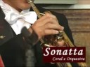 Sonatta Coral & Orquestra - Um toque de classe e bom gosto em seu evento!Possuímos sede própria com um estúdio de alto padrão para fazer a melhor trilha sonora para o seu maior sonho!Confira mais sobre o nosso trabalho em nosso site: Http://www.sonattaorquestra.com.brEstamos prontos para surpreender você!