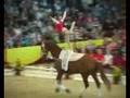 Deutsche Meisterschaft Voltigieren Alsfeld 2008 - Einzel