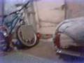 videos de Fantome Bularga