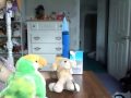 Webkinz Pack episode 2 (Shadow's Space Mission)