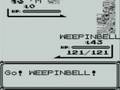 The MISSINGNO. Pokemon Glitch