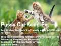 (Rehab 911) Pets Who Kong fu Fight - Because They Had It...