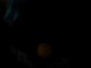 sexo furbyano