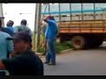 Fuga de um boi na cidade de Alfenas parte 1 Fuga de um boi na cidade de Alfenas parte 1