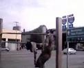 KALI MONSTER PULL UPS 3