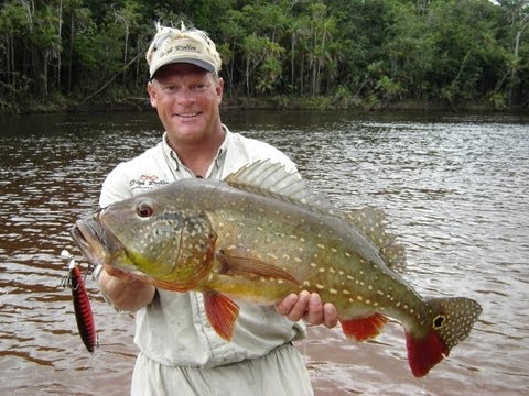 Amazon Adventure 2 - Piranha and Peacock Bass