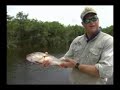 Amazon Piranha Fishing