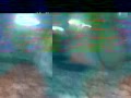 VID 00021
