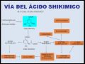 videos de CHEMIST OF NATURAL PRODUCTS parte 6 Davinson Javier Riquett Robles
