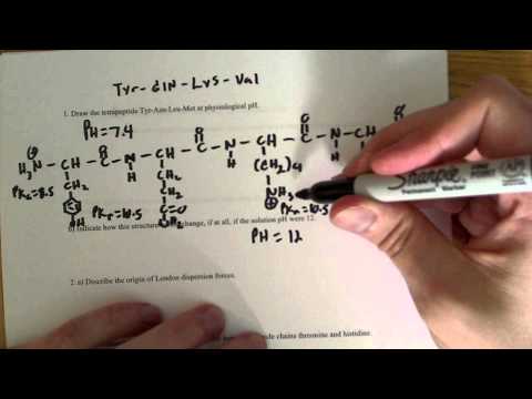 how to draw hydrogen bonding