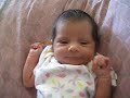 baby amarillis