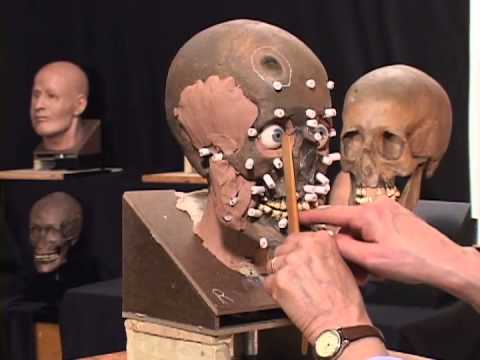 reconstruction - This video demonstrates the process of facial reconstruction completed by Museum Specialist Gay Malin. The video provides a step-by-step description of how a...