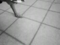 Freestyle **Sergio~Serrada y Antonio Pako**