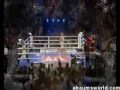 Insane knock out Insane knock out
