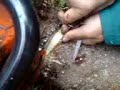 Liptovska Teplicka-Ciko