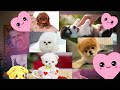 Faux souvenirs (Saison 1 Épisode 37)