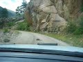 marmota protestando