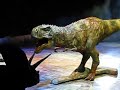 Walking With Dinosaurs - T-Rex vs. Torosaurus and Ankylosaurus Walking With Dinosaurs - T-Rex vs. Torosaurus and Ankylosaurus