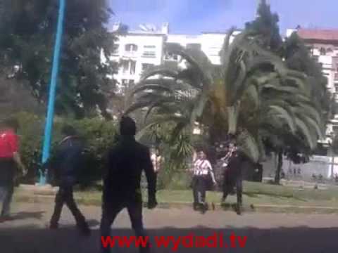 wydad