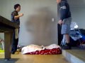 videos de Trampoline Kitty Cat