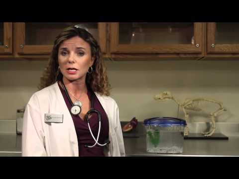 how to swim properly ehow