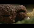 Proximus family calls parodie: la boulette