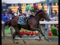 My FAVORITE racehorses My FAVORITE racehorses