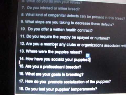 how to care for a zuchon puppy