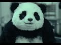 Ne jamais dire non à un panda !