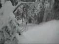 Cypress Mountain Snowboard Cypress Mountain Snowboard