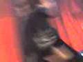 videos de La renga-Hablando de la libertad en el chateau 31/5