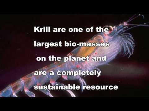 how to harvest krill