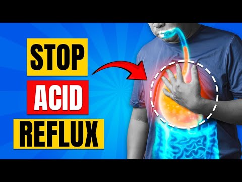 Unlocking the Secrets of Gut Health: How Your Diet Shapes Your Wellness