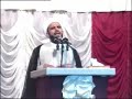 علماء من أهل السنة يؤكدون ولادة الامام الحجة المنتظر (عج)