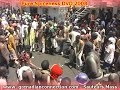 Pure Spiceness DVD 2008