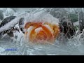 Secret Garden - Lament for a Frozen Flower: http://t.co/1S9IhrVE с помощью @youtube