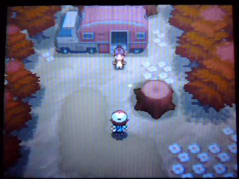 how to zoroark in pokemon black 2