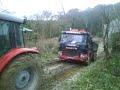 Hart's haulage  shaggy