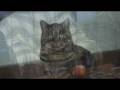 refuge la loge.wmv