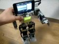 Robochan
