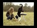 border collie Bu showing the tricks she learned part 2