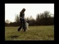 Border Collie video